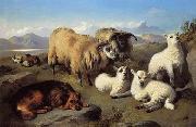 unknow artist Sheep 191 oil painting reproduction